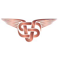 SV Indorganic Foodstuffs LLC